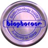 E-Smog-Chips EDV-Set á 4 Stück (TOP-10 Produkt)